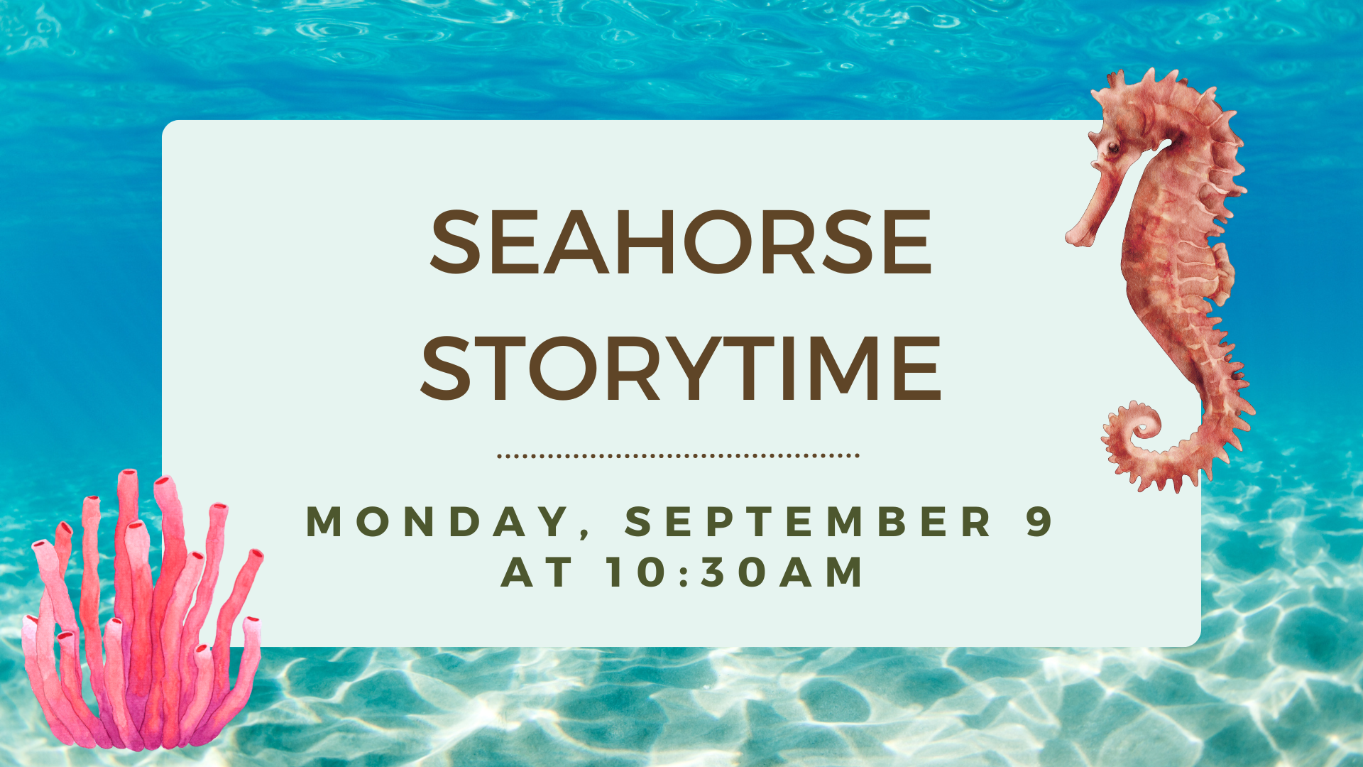 Seahorse Storytime