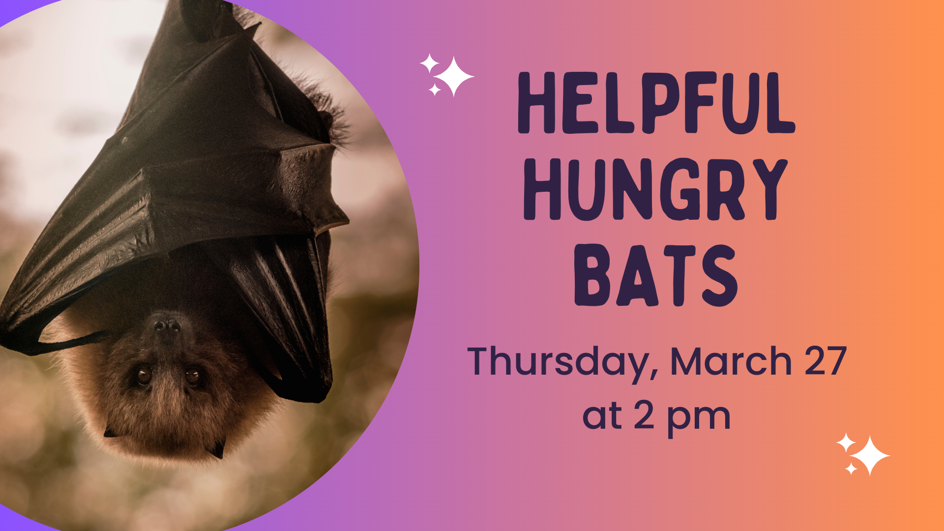 Helpful Hungry Bats