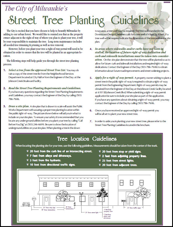 street-tree-planting-guidelines-city-of-milwaukie-oregon-official-website