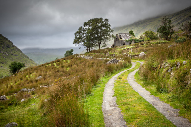 stone cottage in lush Irish countryside