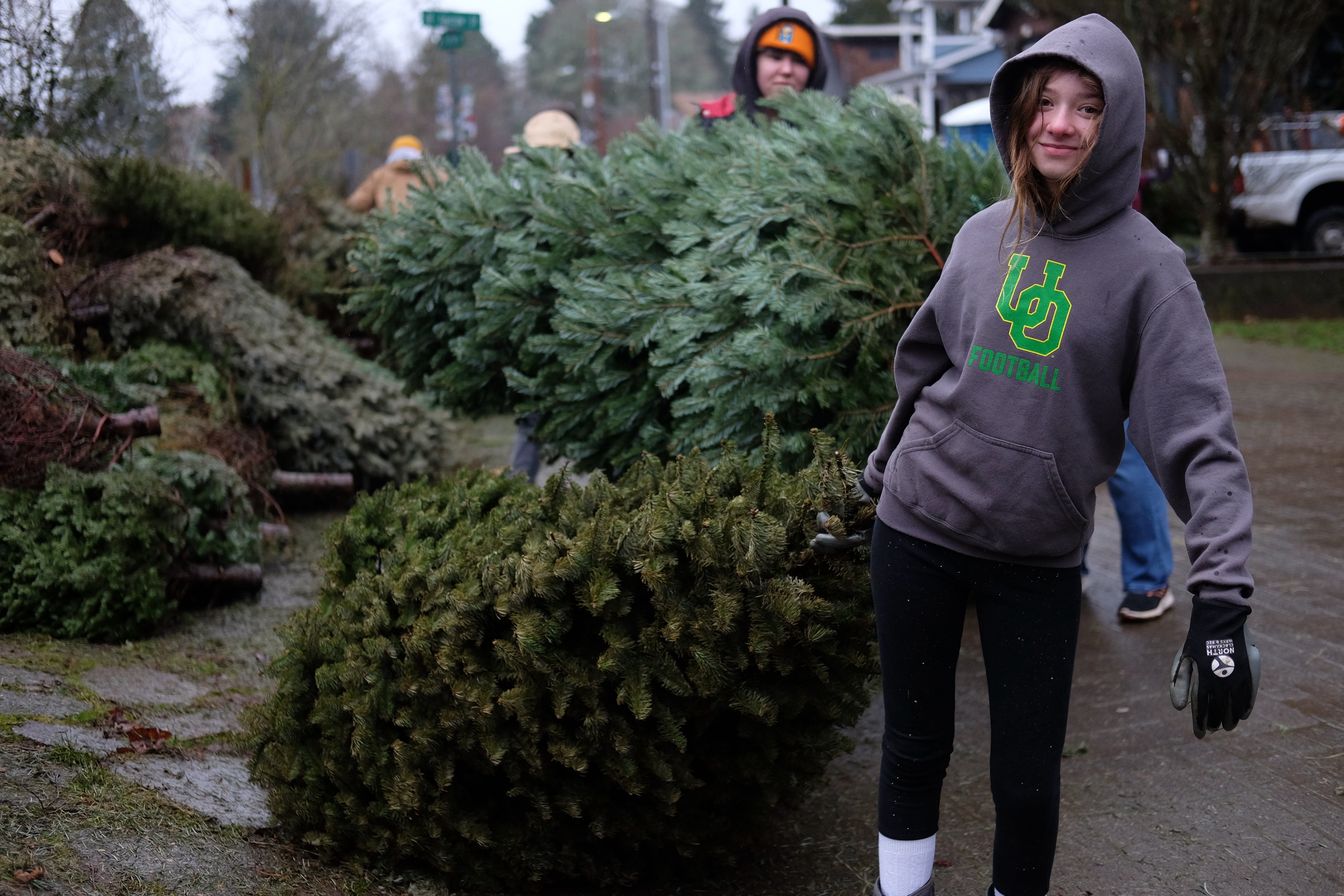 Volunteer Moving Trees