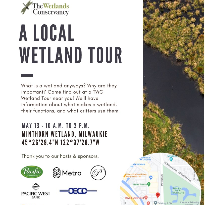 Wetlands Tour